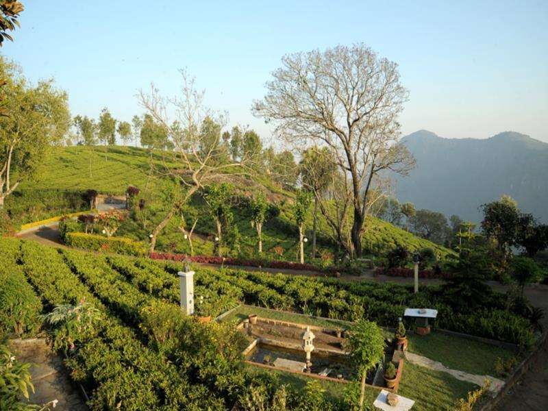 Teanest By Nature Resorts And Stays Coonoor Exteriör bild