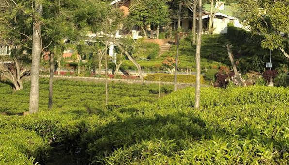 Teanest By Nature Resorts And Stays Coonoor Exteriör bild