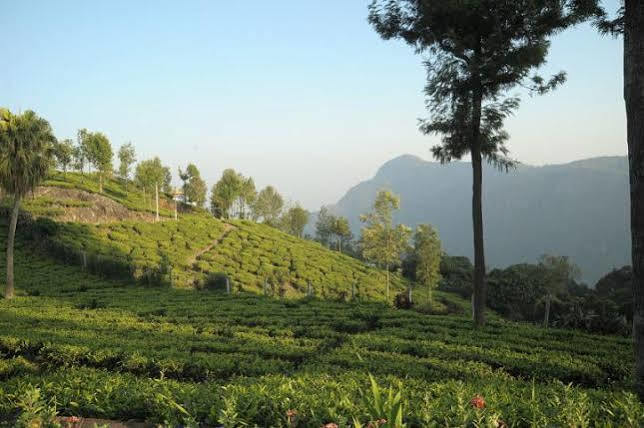 Teanest By Nature Resorts And Stays Coonoor Exteriör bild